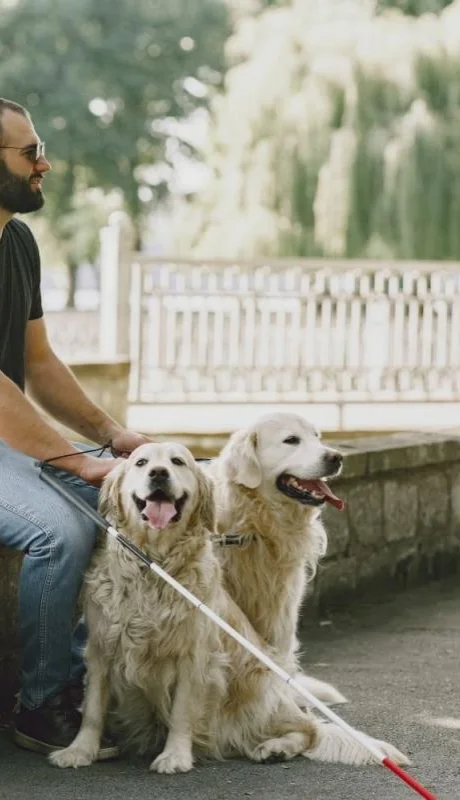 pexels-gustavo-fring-5163794-jpg.