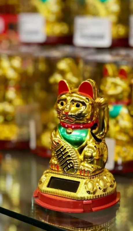 pexels-paul-van-york-11605771-jpg.