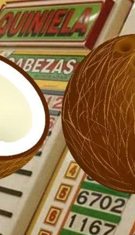 coco-quiniela-numero-suerte-dinero-sueno-1-png.