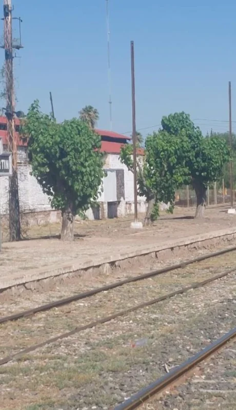 tren-de-pasajeros-jpeg.