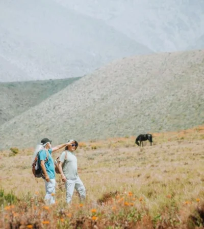 fin-de-semana-largo-en-tgto1-jpg.