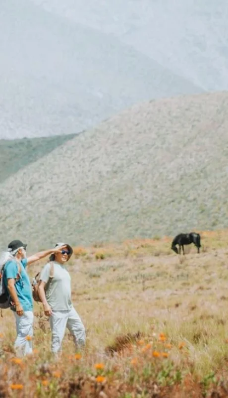 fin-de-semana-largo-en-tgto1-jpg.