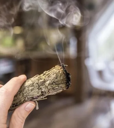 como-curar-una-casa-jpg.