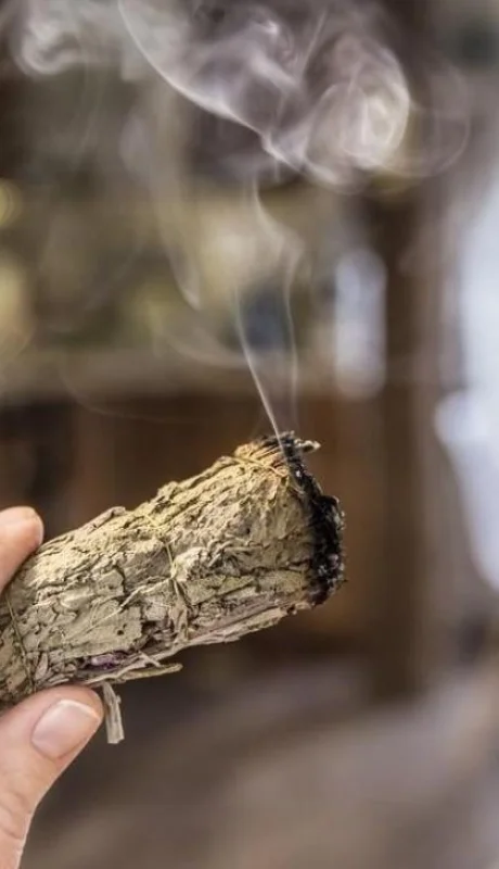 como-curar-una-casa-jpg.