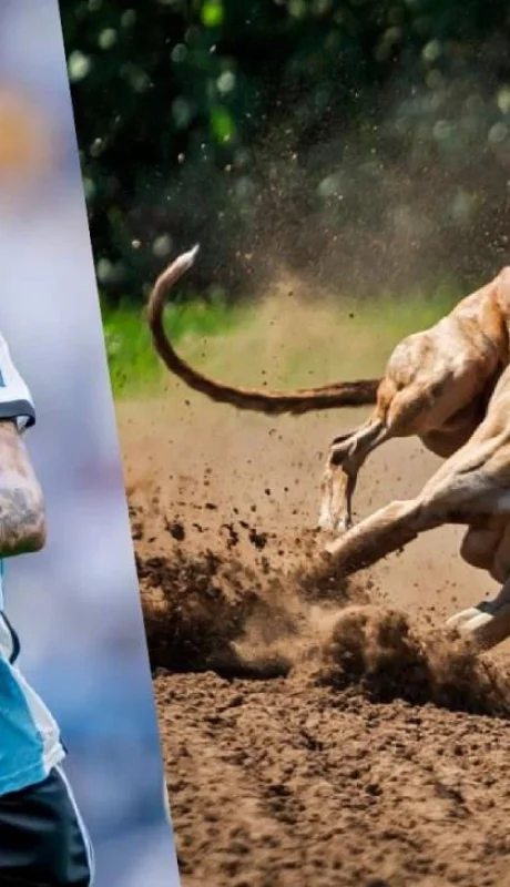 portada-di-maria---galgo-mesa-de-trabajo-1-1-jpg.