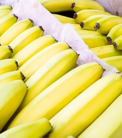 whatsapp-image-2022-12-12-at-11-57-35-jpeg.