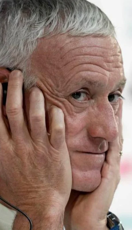 francia-de-dechamps-gripe-coronavirus-mundial-png.