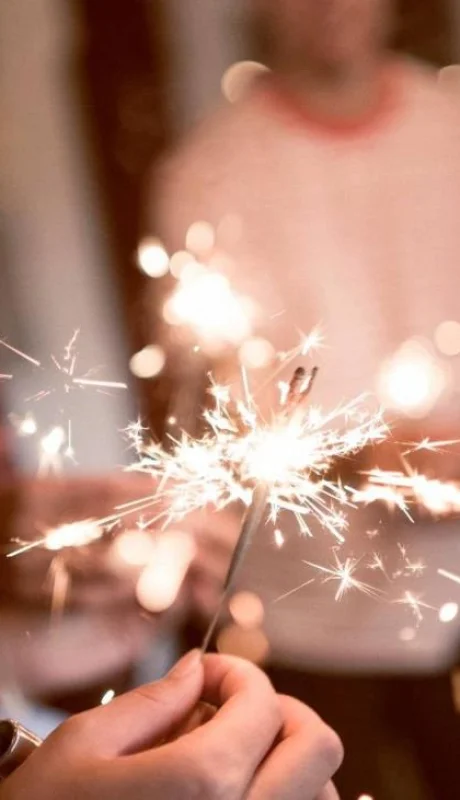 ano-nuevo-datos-curiosos-caracteristicas-1-jpg.