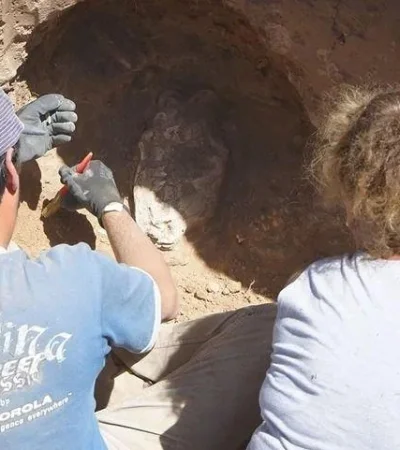 hallazgo-craneo-jpg.