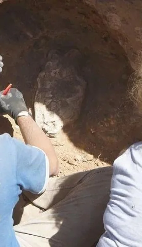 hallazgo-craneo-jpg.