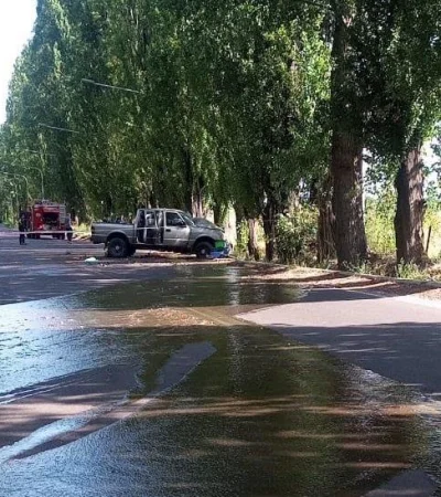 81ae0fc6-f09d-4474-8d65-af3430600a09-jpeg.