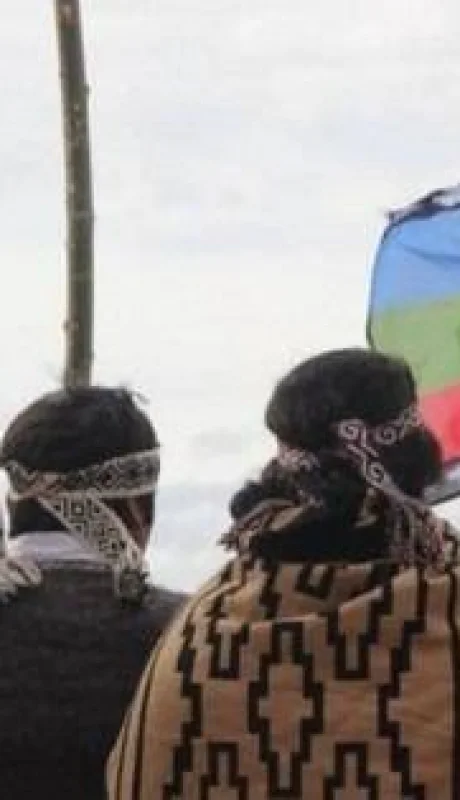 whatsapp-image-2023-01-31-at-11-13-50-jpeg.