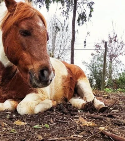 0d62f6f6-6c8f-4831-a2d9-0c3b4f670a66-jpeg.