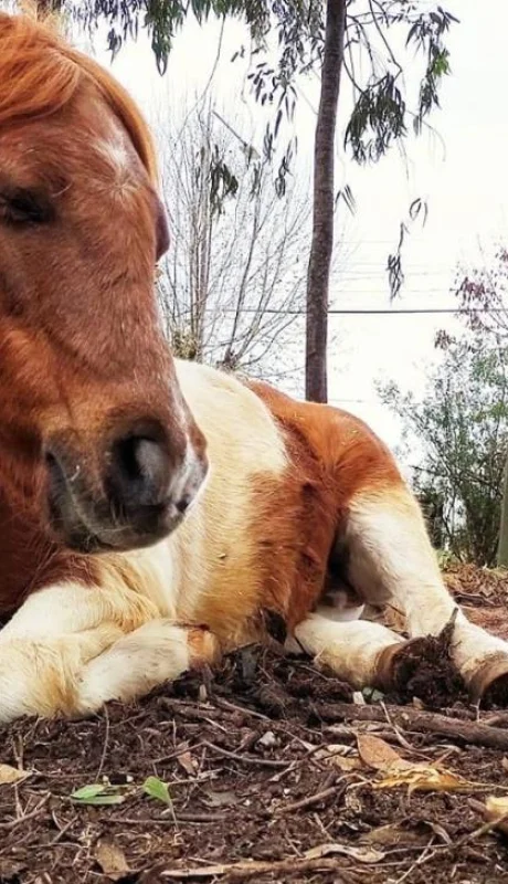 0d62f6f6-6c8f-4831-a2d9-0c3b4f670a66-jpeg.