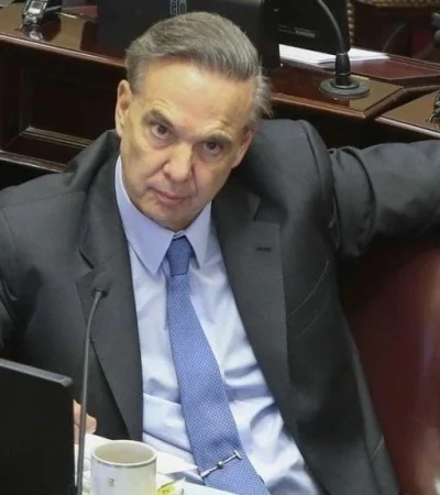 Miguel-Ángel-Pichetto--acuerdo-libre-comercio