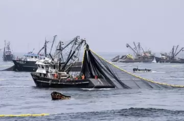 La actividad económica creció 3,2% interanual en octubre impulsada por la pesca y las finanzas