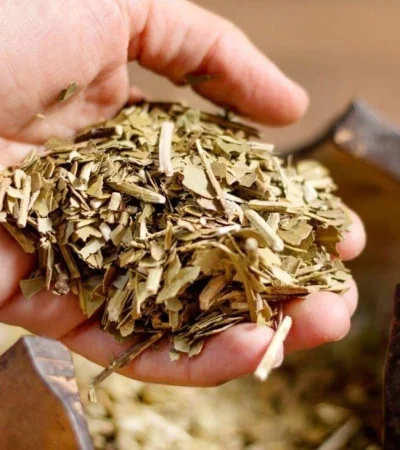 44-scaled-1-1200x800-1-jpg.