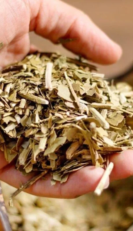 44-scaled-1-1200x800-1-jpg.