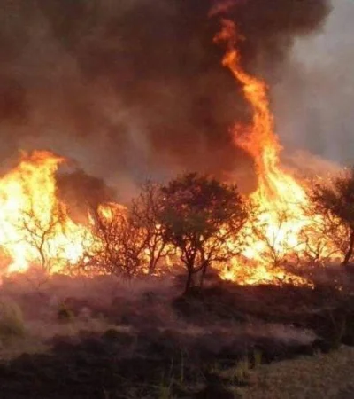 general-alvear-incendios-486586458645645-jpg.