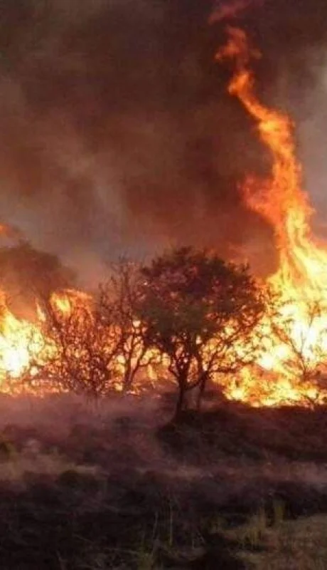 general-alvear-incendios-486586458645645-jpg.