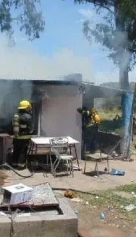 asesinato-venado-tuerto-jpg.