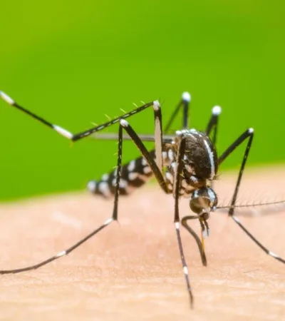 35a68810-f5ed-410b-be44-e03455395d1e-jpeg.