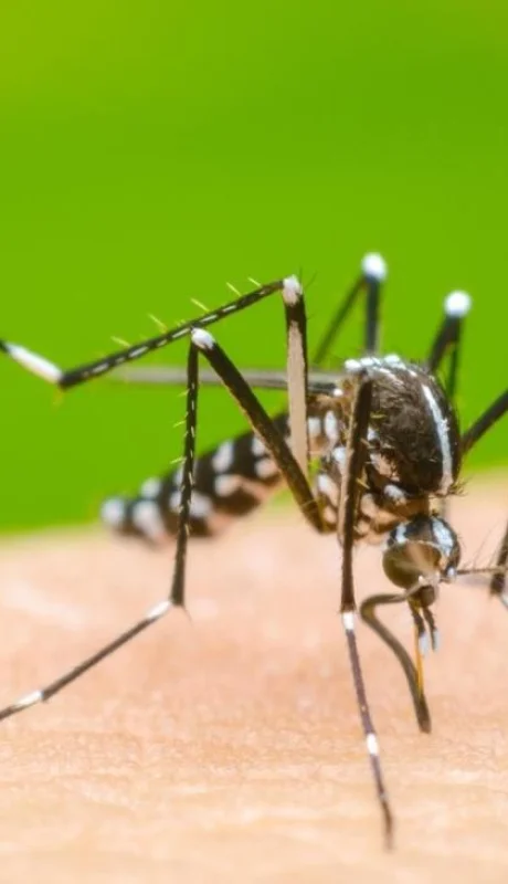 35a68810-f5ed-410b-be44-e03455395d1e-jpeg.