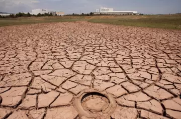 Arde el planeta: 2024 se presenta como el más caluroso de la historia