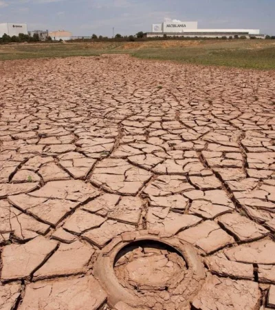 En distintas partes del mundo, las sequías produjeron serios problemas tanto para la agricultura como para la cría de animales para el consumo humano.