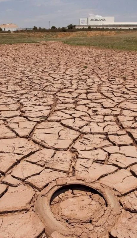 En distintas partes del mundo, las sequías produjeron serios problemas tanto para la agricultura como para la cría de animales para el consumo humano.