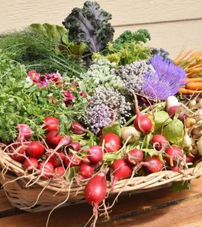 319640535-886077545871665-3500882708438641179-n-jpg.