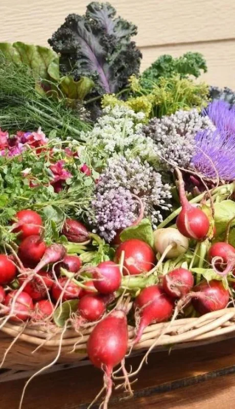 319640535-886077545871665-3500882708438641179-n-jpg.