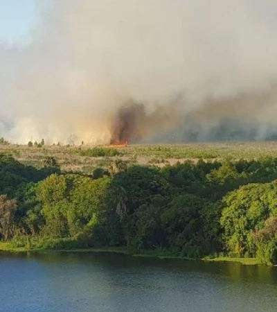 e71c90f4-ba37-4781-8daf-cfac1f6a21dc-jpeg.