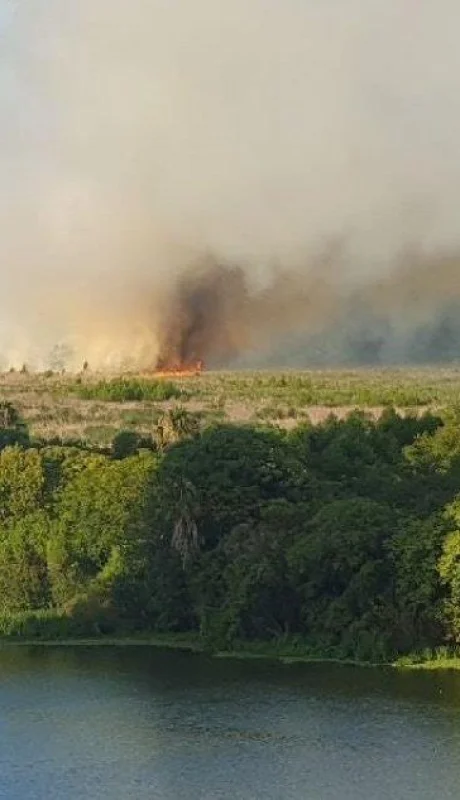 e71c90f4-ba37-4781-8daf-cfac1f6a21dc-jpeg.