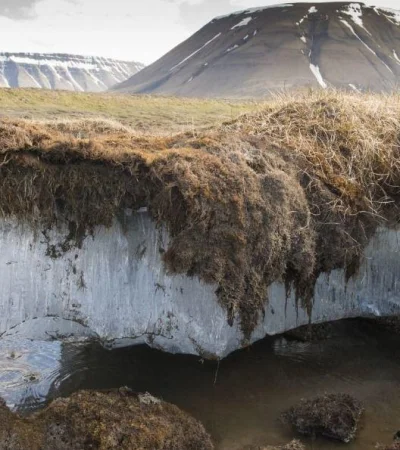 permafrost-siberia-artico-hielo-virus-png.