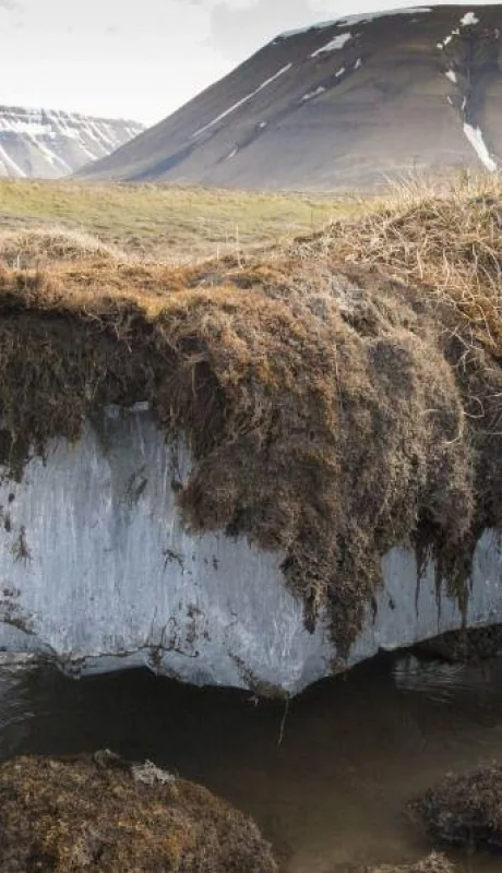 permafrost-siberia-artico-hielo-virus-png.