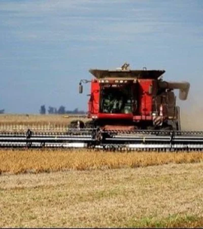 8a1da426-ac58-448b-a29c-a88ebbcc51da-jpeg.