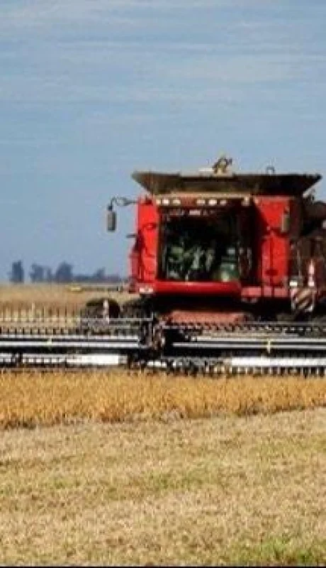 8a1da426-ac58-448b-a29c-a88ebbcc51da-jpeg.