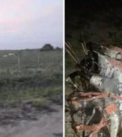 avioneta-chaco-600x337-jpeg.