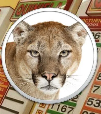 puma-quiniela-numeros-plata-sueno-juego-png.