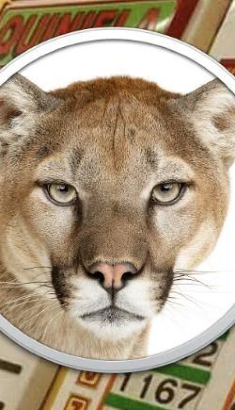 puma-quiniela-numeros-plata-sueno-juego-png.