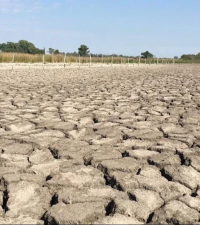 b69e85e0-1bb3-462d-9783-ae21ecd17498-png.