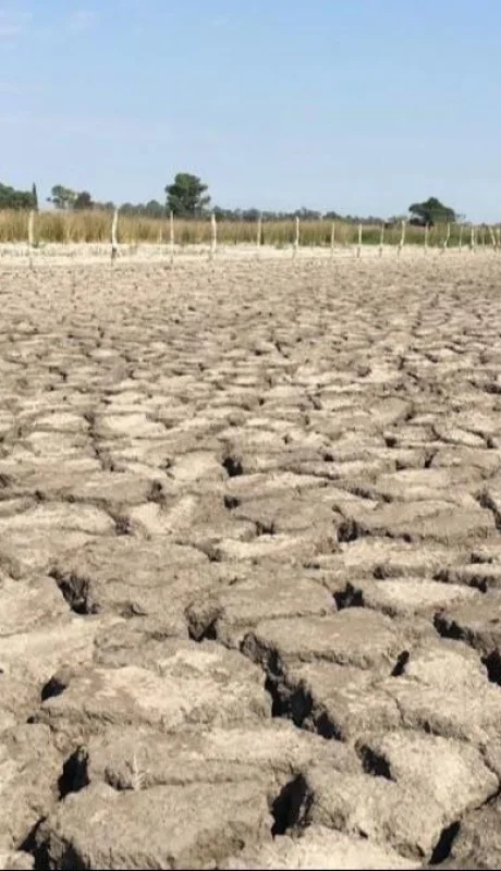 b69e85e0-1bb3-462d-9783-ae21ecd17498-png.