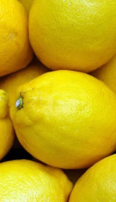 Descubrilos: la cáscara de limón tiene secretos que no te imaginás