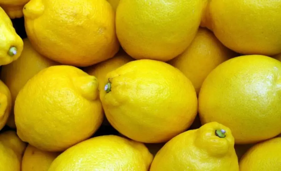 limones-jpg.