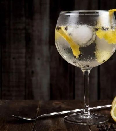 flipa-gin-precio-mendoza-argentina-premios-jpg.