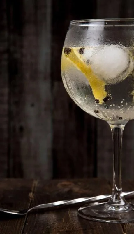 flipa-gin-precio-mendoza-argentina-premios-jpg.