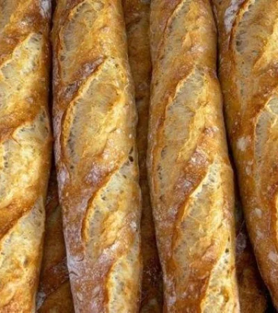 2fae5b1fc8190863ebe8e493acaace6e-jpg.