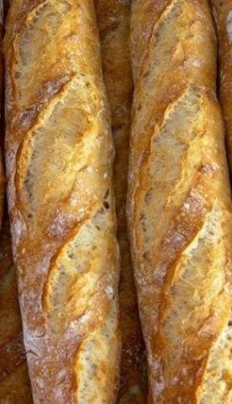 2fae5b1fc8190863ebe8e493acaace6e-jpg.