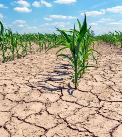 20230108sequiacampocedocg-1487680-jpg.